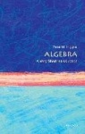 Algebra - A Very Short Introduction