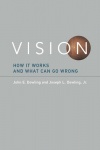 Vision - How It Works and What Can Go Wrong