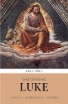 Discovering Luke - Content, Interpretation, Reception