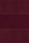 NIV Study Bible, Fully Revised Edition (Study Deeply. Believe Wholeheartedly.), Large Print, Leathersoft, Burgundy, Red Letter, 