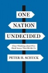 One Nation Undecided - Clear Thinking about Five Hard Issues That Divide Us