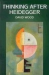Thinking after heidegger