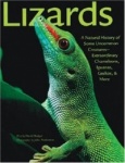 Lizards