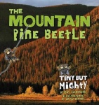 The Mountain Pine Beetle - Tiny But Mighty
