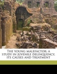 The Young Malefactor - A Study in Juvenile Delinquency, Its Causes and Treatment