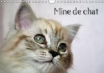 Mine de Chat