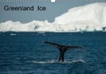 Greenland Ice 2017 - Iceberg Greenland Water