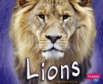 Lions