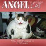 Angel, the Mischievous Cat