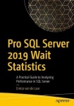Pro SQL Server 2019 Wait Statistics - A Practical Guide to Analyzing Performance in SQL Server