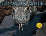 Dragon Walk - On Reef Recovery & Political Will