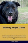 WORKING KELPIE GD WORKING KELP
