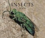 Insects 2009