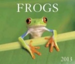 Frogs 2013 Calendar