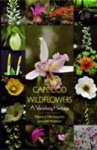 Cape Cod Wildflowers