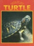 Caring for Your Turtle
