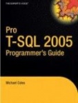 Pro T-SQL 2005 Programmer's Guide