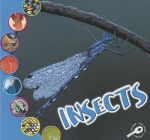 Insects (Wiaa)