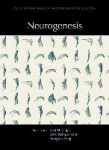 Neurogenesis