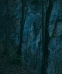 Severed