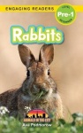 Rabbits - Animals in the City (Engaging Readers, Level Pre-1)