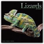 Lizards Calendar 2020
