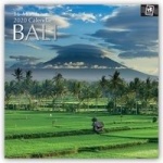 BALI 2020