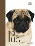 Pug