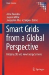 Smart Grids from a Global Perspective : Bridging Old and New Energy Systems