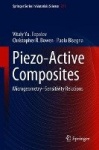 Piezo-Active Composites : Microgeometry–Sensitivity Relations