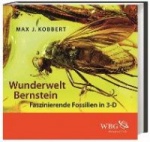 Wunderwelt Bernstein