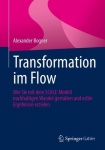 Transformation im Flow