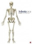 Sobotta Edition - Kalender 2018