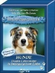 Herzensbegleiter - Hunde