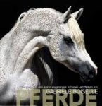 Pferde