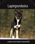 Lapinporokoira