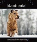 Irlanninterrieri